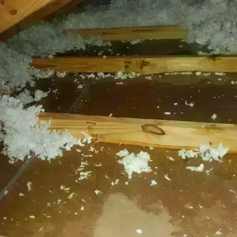 Attic Water Damage in Westville, IL